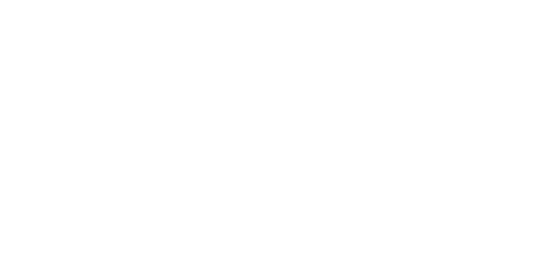 NAPA 100